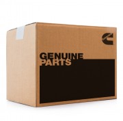 Cummins Sea Water Pump 3010328